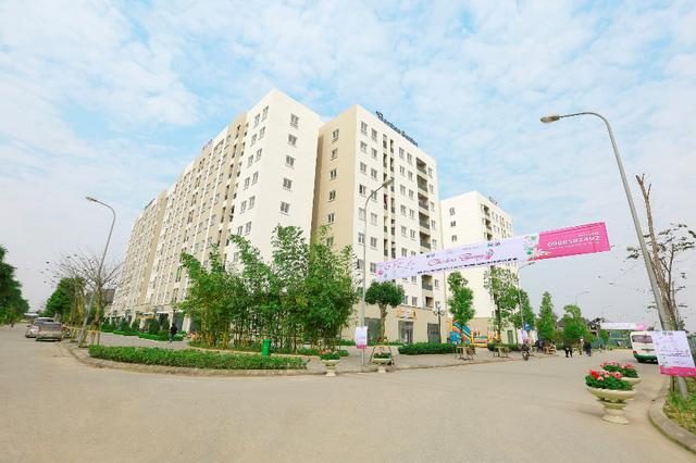 NOXH Bamboo Garden - hình ảnh 1