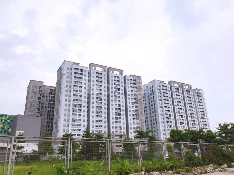 Hà Nội Homeland - hình ảnh 2