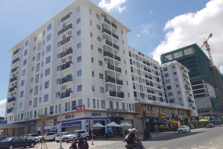 VCN Phước Hải - hình ảnh 2