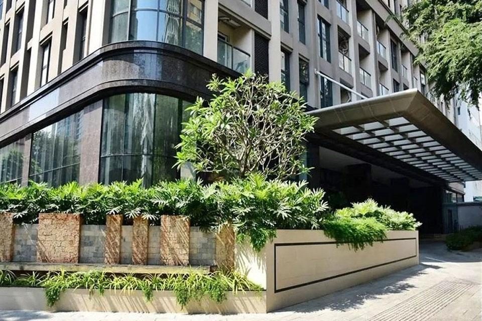Madison - hình ảnh 1